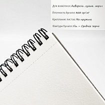 Альбом для акварели Canson Montval, среднее зерно, на пружине, 300 гр/м2, 12 листов